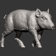 small-boar8.jpg Small boar 3D print model