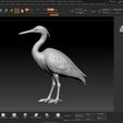 Heron-Bird-Zbrush-01.jpg Heron Bird