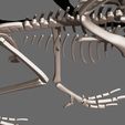 04.jpg Complete 3D anatomy of Archaeopteryx