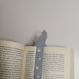 IMG_20240818_140657.jpg Cat bookmark