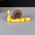 IMG_5199.jpg Caracol lindo articulado