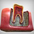 Alternate2_View.jpg Coupe en dents de scie