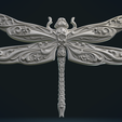 Dragonfly_Cycles-0002.png Dragonfly Relief