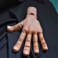 4.jpg Main réaliste articulée - sans support, modèle 3D à imprimer sur place