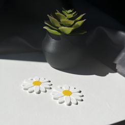 IMG_2405.jpg Archivo STL DAISY KEYCHAIN・Diseño para descargar y imprimir en 3D