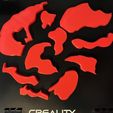 Brain_Disassembled.JPG Free 3D file Brain Anatomy Puzzle・Model to download and 3D print