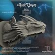 resize-aquarius-dragon-angle.jpg Pre-supported Aquarius Zodiac Dragon