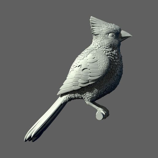 🐦 bird red cardinal・ STL File for ・Cults