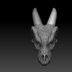 1.jpg Skull dragon