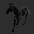 Screenshot_3.jpg The Great Running Horse - Low Poly - Excellent Design - Decor