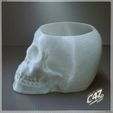 Skull-Vase_7.jpg Skull Vase / Bowl