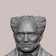 08.jpg Arthur Schopenhauer 3D printable sculpture 3D print model