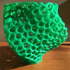 IMG_1715.jpg Archivo STL gratis Florero cuadrado Voronoi Twist・Modelo para descargar y imprimir en 3D, pfunk