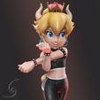 9.jpg PRINCESS BOWSETTE