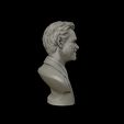 27.jpg Jim Carrey bust sculpture 3D print model