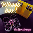 Whoop-box.png WHOOP BOX + BATTERY CASE