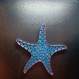 flexi-starfish-5.jpg flexi SEA STARFISH