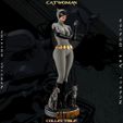 evellen0000.00_00_05_13.Still011.jpg Catwoman Grey Bodysuit - Collectible Edition