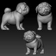 pp04.png Pregunta Pug Modelo de impresión en 3D