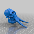 d817c038c81a3b91e6b1fd3b30df25b5.png Elephant Skull