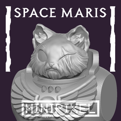 2.png SPACE MARIS - MARI_02