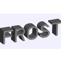 FROSTin3D