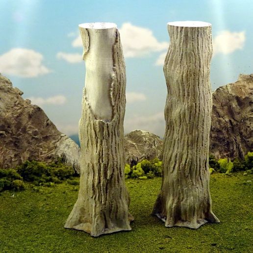 a5aac95701f7d2fa975db47913806118_display_large.JPG Vegetation B - Giant tree trunks