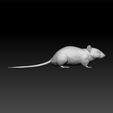 mou2.jpg Mouse - mouse 3d model for unity3d - mouse 3d for game - mouse 3d realistic