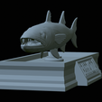 Barracuda-mouth-statue-26.png fish great barracuda / Sphyraena barracuda open mouth statue detailed texture for 3d printing