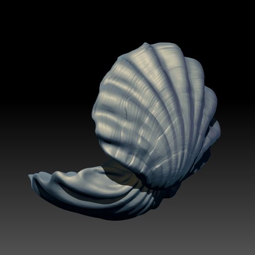 shell-02.jpg Ostra