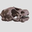 Patagotitan-crâne04.jpg Patagotitan skull in 3D