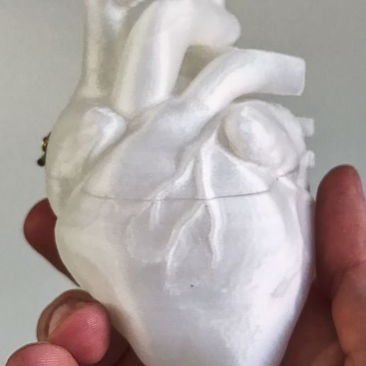 Heart Shaped Box 3D model