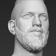 21.jpg Ragnar Lothbrook Vikings bust 3D printing ready stl obj