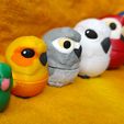 IMG_20260128_151735713.jpg Parrot Nesting Dolls