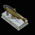 golden-dorado-statue-box-1-20.png fish golden dorado / Salminus brasiliensis with storage space / for 3d printing
