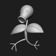 bellsprout-3.jpg Pokemon - Bellsprout, Weepinbell and Victreebel
