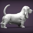 basset-hound3.jpg basset hound 3D print model