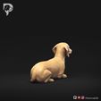 Dachshund-Miniature-Smooth-Haired-Pose-07-Dog-3D-Print-4s.jpeg Dachshund Miniature Smooth Haired Pose 07