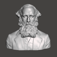 James-Clerk-Maxwell-1.png 3D Model of James Clerk Maxwell - High-Quality STL File for 3D Printing (PERSONAL USE)