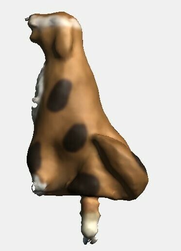 Acc.-Dog-Right.jpg Рождественское представление фигуристов