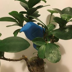 birdInTree.JPG Fichier 3MF gratuit Un oiseau dans la main・Design imprimable en 3D à télécharger