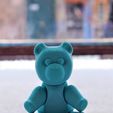 flexi bear