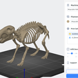Captura.png capybara skeleton