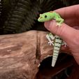 8.jpg Articulated Lizard - Print-In-Place Articulated Day Gecko