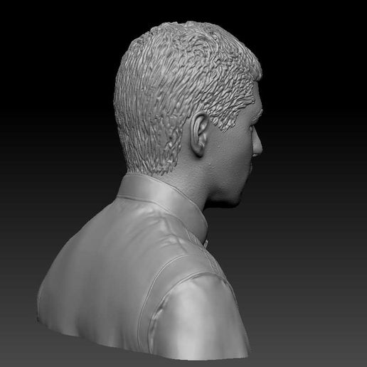 verstappen-bust-4.jpg Max Verstappen preso