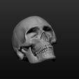 a1.jpg Skull