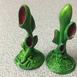 Plante de table : Végétation exotique 01