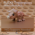 FLEXI-1.png FLEXI Triceratops