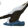 Humpback-Whale-Head-off-the-Water-color-1.jpg Humpback Whale Head off the Water 3D printable model