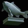 Carp-trophy-statue-38.png fish carp / Cyprinus carpio in motion trophy statue detailed texture for 3d printing